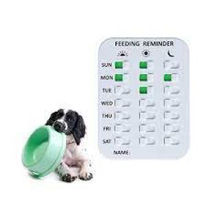Cat Dog Feeding Reminder Magnetic Reminder Sticker AM PM Daily Indication Chart 